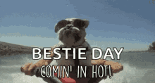 Dog Coming In Hot GIF - Dog Coming In Hot Jet Ski GIFs