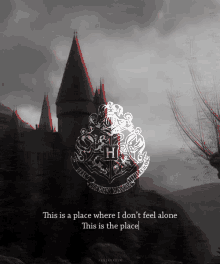 Harrypotter Hogwarts GIF - Harrypotter Hogwarts Well GIFs