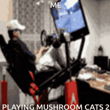 Mushroom Cats GIF - Mushroom Cats Cat GIFs