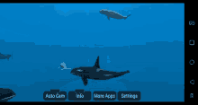 Ocean Whale GIF - Ocean Whale Swim GIFs
