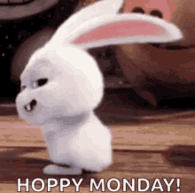 Monday Hoppy Monday GIF - Monday Hoppy Monday Wag Tail GIFs