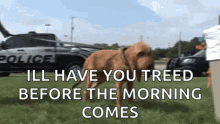 Treadmill Excited GIF - Treadmill Excited Before The Morning Comes GIFs