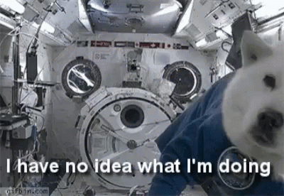 i-have-no-idea-what-im-doing-space-dog.gif