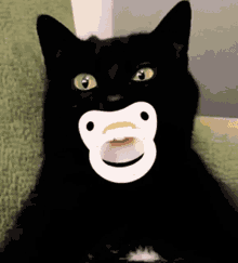 Cat Pacifier Black Cat GIF - Cat Pacifier Pacifier Paci GIFs