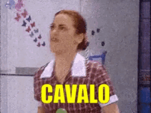 tldc cavalo