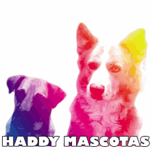 haddy mascotas chepeteste2020 dogs pup colorful