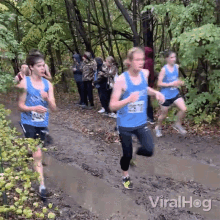 Falling Down Viralhog GIF - Falling Down Viralhog Diving In The Puddle GIFs
