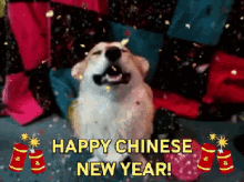 Corgi Chinese New Year GIF - Tahun Baru Imlek Selamat Tahun Baru Imlek Imlek GIFs