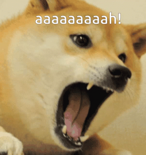 Meme Doge GIF - Meme Doge Funny Memes GIFs