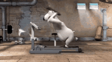 bernard treadmill fail ouch accident