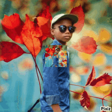 my edit my edit