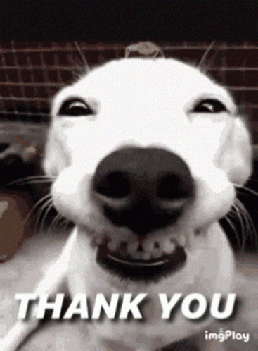 Thank You GIF - Thank You Thanks - Discover & Share GIFs