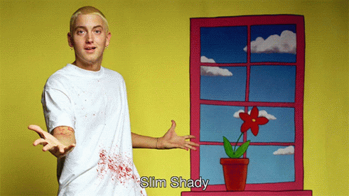 Slim Shady Parody