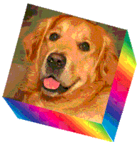 Hey Baby Dog Sticker - Hey Baby Dog Wink Stickers