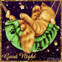 Good Night Cat GIF - Good Night Cat Smile GIFs