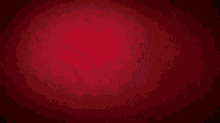 Red Together Diables Rouges GIF - Red Together Diables Rouges GIFs
