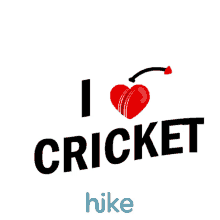 love cricket