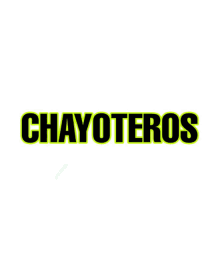 comes chayote chayoteros sol mirliton