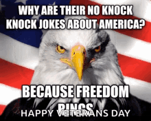 America Muricah GIF - America Muricah Happy Veterans Day GIFs