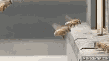 drunk crash