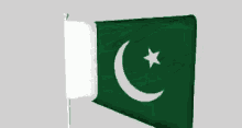 Pakistan Zindabad GIF - Pakistan Zindabad Flag GIFs