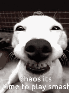 Chaos GIF - Chaos GIFs