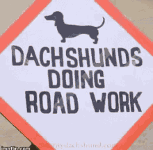 Dachshund Roadwork GIF - Dachshund Roadwork Dogs GIFs