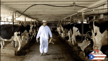 Milking Cow GIF - Milking Milk Cow GIFs