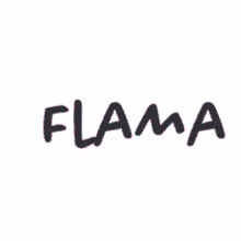 flama rosarioplus