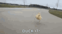 Duck Duckit GIF - Duck Duckit GIFs