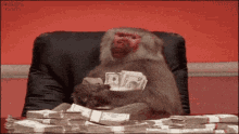 Baboon Monkey GIF - Baboon Monkey Money GIFs