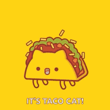 Taco Tuesday Cat GIF - Taco Tuesday Taco Cat GIFs