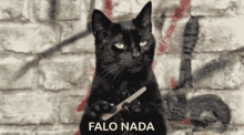 Falo Nada File GIF - Falo Nada File Cat GIFs