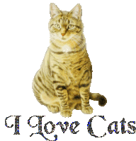 Love Cat Sticker - Love Cat Stickers