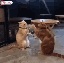 Lets Play Play Time GIF - Lets Play Play Time Fun Time GIFs