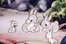 Bunny Bunnyrabbit GIF - Bunny Bunnyrabbit Rabbit GIFs