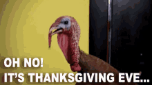 Thanksgiving Eve GIF - Thanks Giving Turkey GIFs