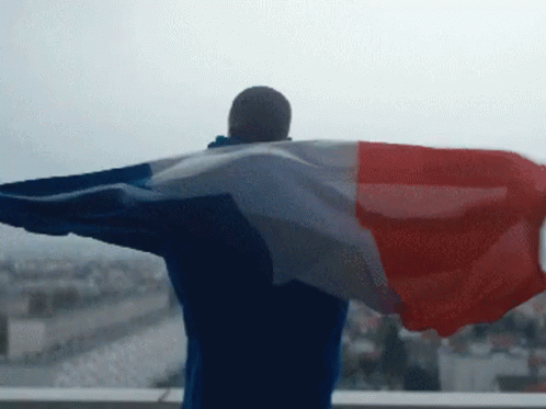 France GIF - France Euro2016 法国 GIFs