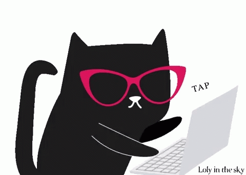 typing cat