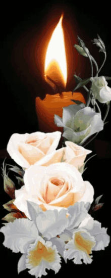 Candle Flower GIF - Candle Flower Flame GIFs