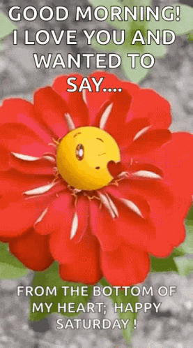 Its Saturday Flower GIF - Its Saturday Flower Smile GIFs