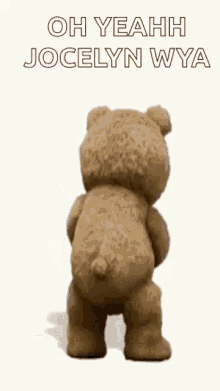 Teddy Bear Drinking GIF - Teddy Bear Drinking Ted GIFs