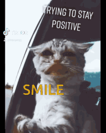 Smile Positive GIF - Smile Positive Positive Vibes GIFs