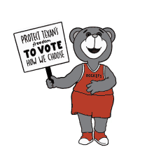 we voter