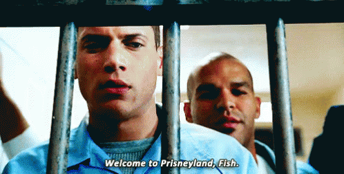 Welcome To Prisneyland, Fish. GIF - Prison Prisonbreak Fugitive - Discover  & Share GIFs