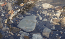 Water River GIF - Water River Aesthetic GIFs