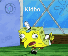 Kidbo Kedbo GIF - Kidbo Kedbo GIFs