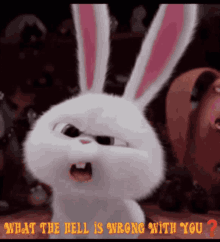 What The Hell Is Wrong With You So Wrong GIF - What The Hell Is Wrong With You What The Hell So Wrong GIFs