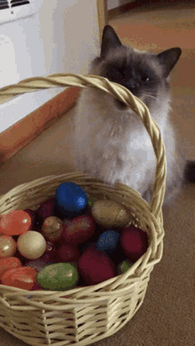 Happy Easter Cute Cat GIF - Happy Easter Cute Cat GIFs