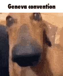Geneva Geneva Convention GIF - Geneva Geneva Convention Shitposting GIFs